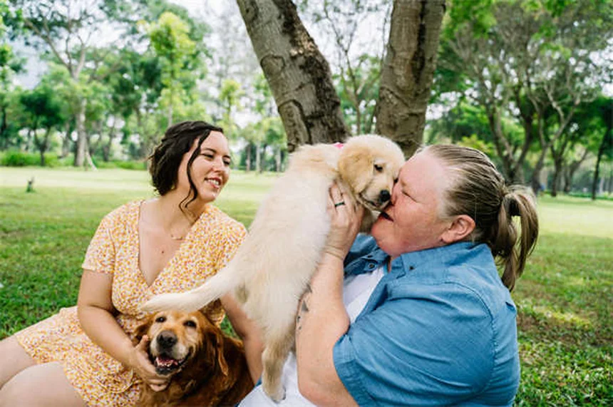 7 razas de perros con personalidad de gato ¡Perfectas para ti!