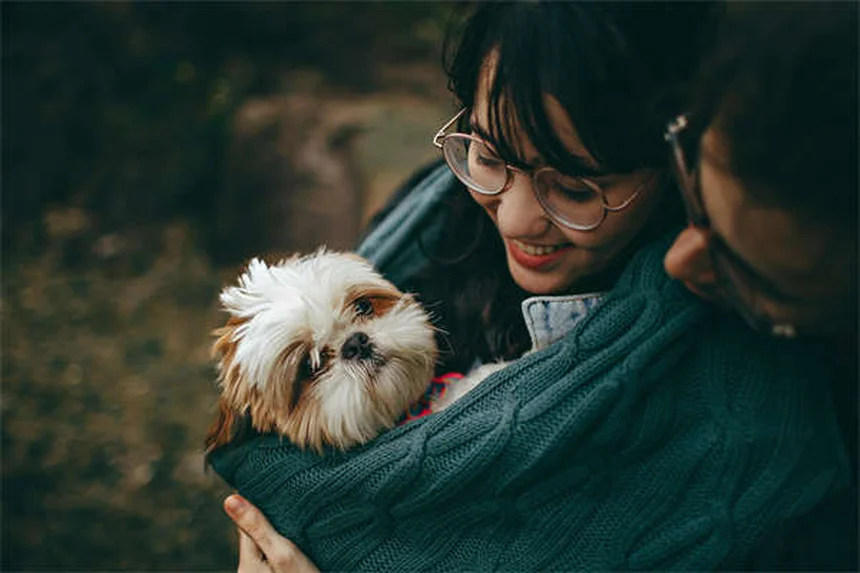 Examen rectal en mascotas: 10 razones clave que todo dueño debe conocer